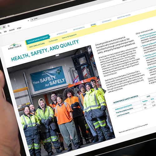  Sustainability Report Design 